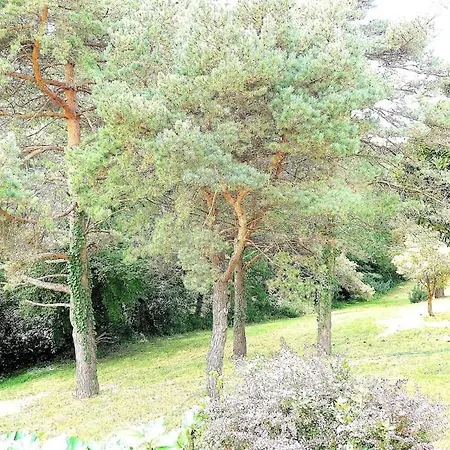 Kosyhome Leihora Propriete 1 Hectare 6 Piscine A 5 Min Des Plages Villa *